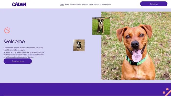Screenshot of|