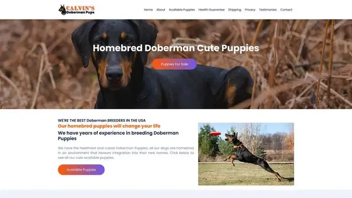 Screenshot of