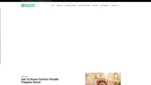 Screenshot of