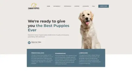 Screenshot of