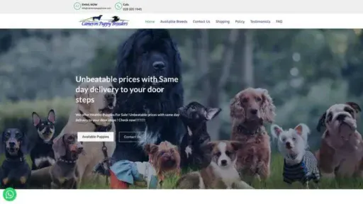 Screenshot of
