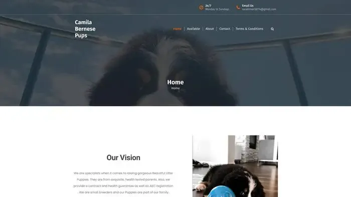 Screenshot of