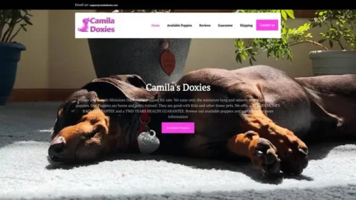 Screenshot of