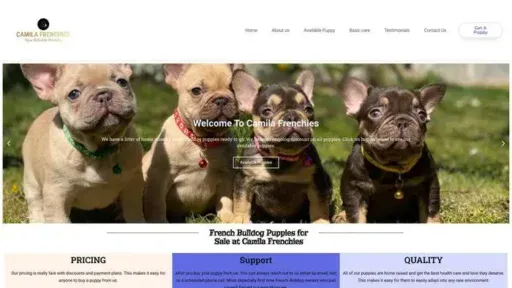 Screenshot of