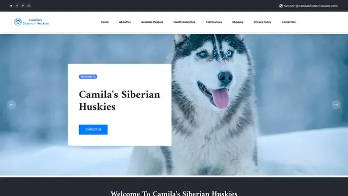 Screenshot of