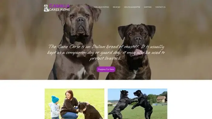 Screenshot of