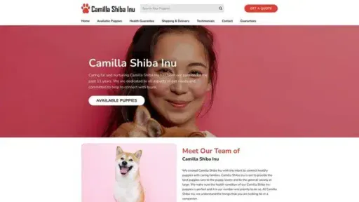 Screenshot of