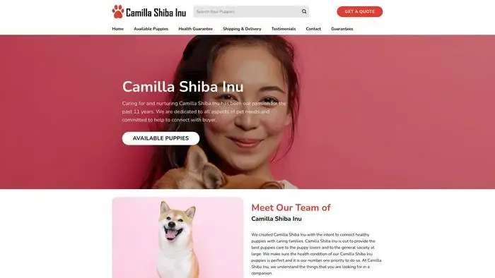 Screenshot of