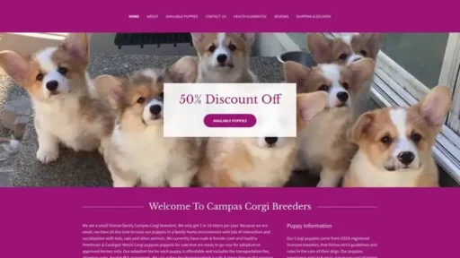Screenshot of