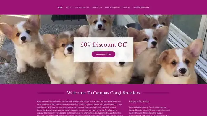 Screenshot of