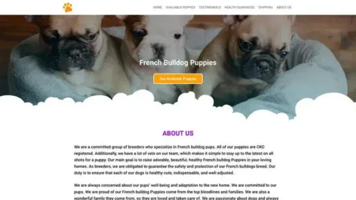 Screenshot of