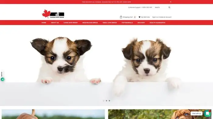 Screenshot of