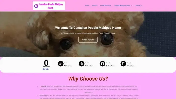 Screenshot of