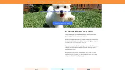 Screenshot of