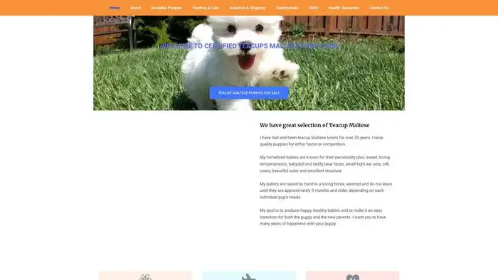 Screenshot of