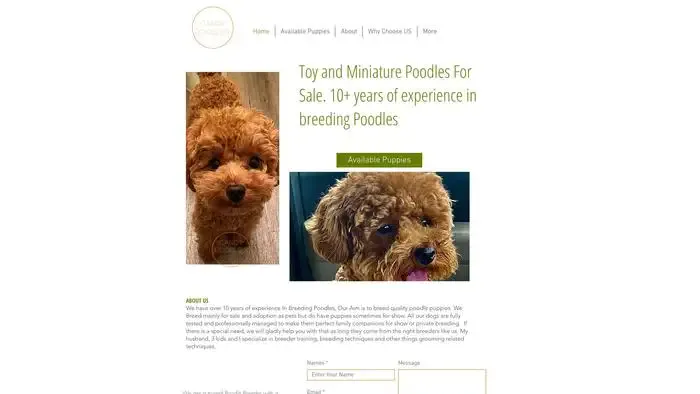Screenshot of