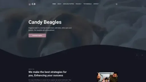 Screenshot of