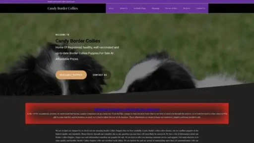 Screenshot of