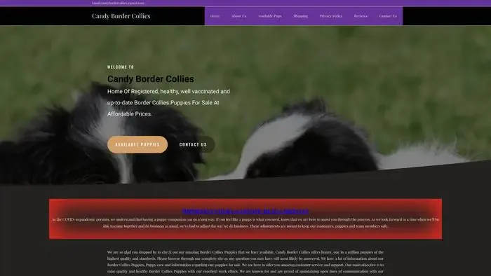 Screenshot of
