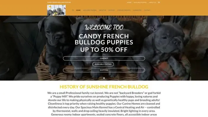 Screenshot of