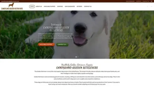 Screenshot of