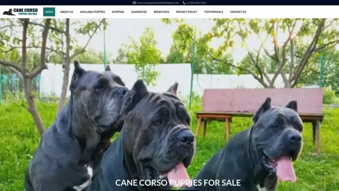 Screenshot of