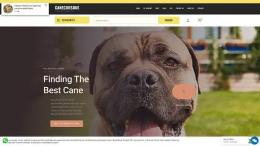 Screenshot of