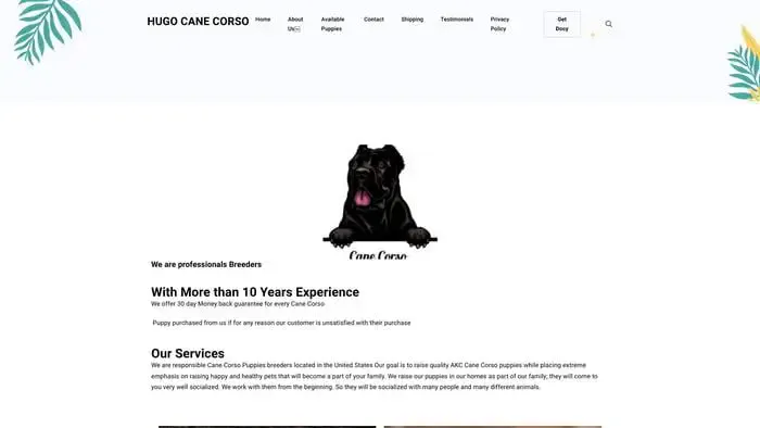 Screenshot of