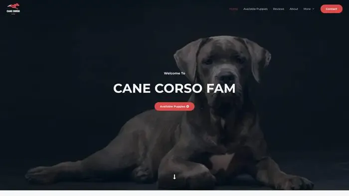 Screenshot of