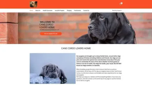 Screenshot of