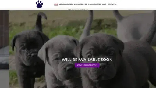 Screenshot of