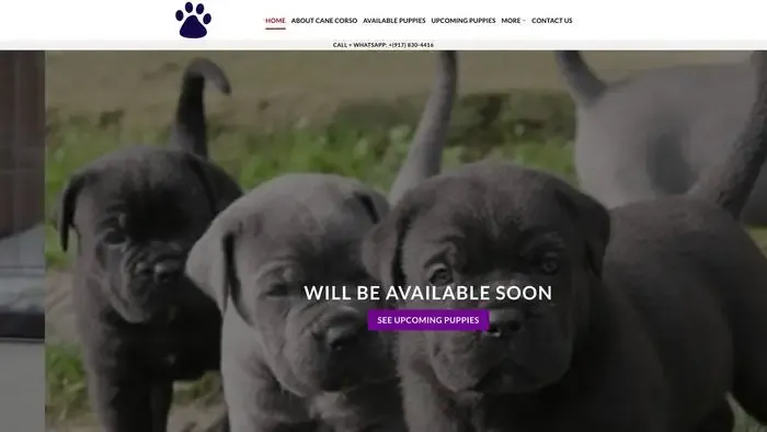 Screenshot of