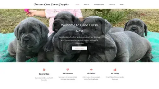 Screenshot of