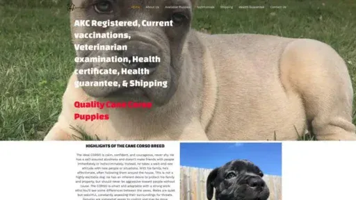 Screenshot of