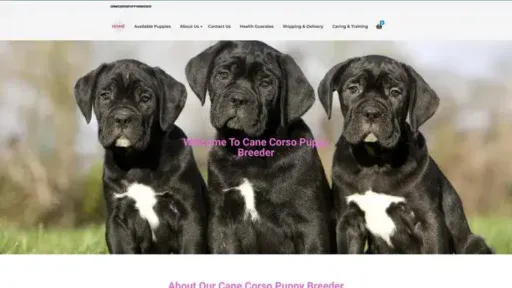 Screenshot of