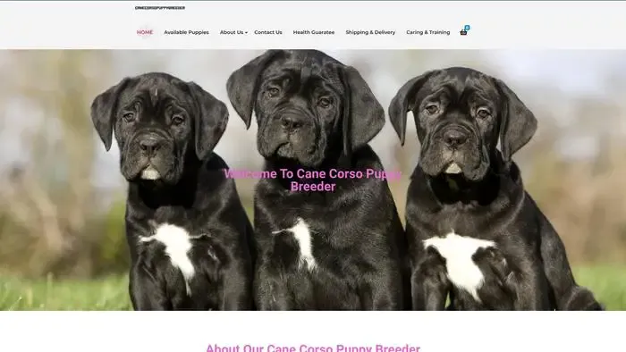 Screenshot of