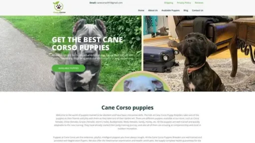 Screenshot of
