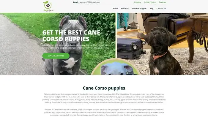 Screenshot of