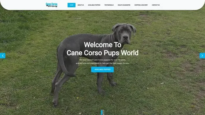 Screenshot of