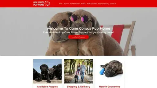 Screenshot of||