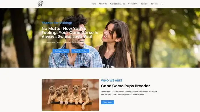 Screenshot of