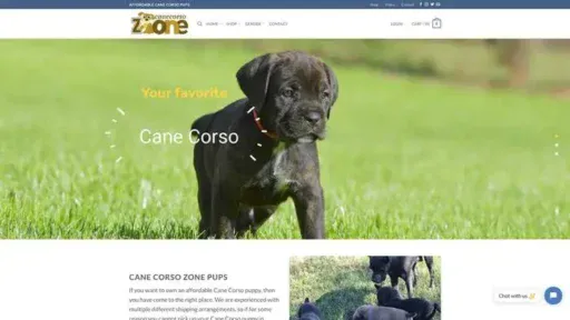 Screenshot of