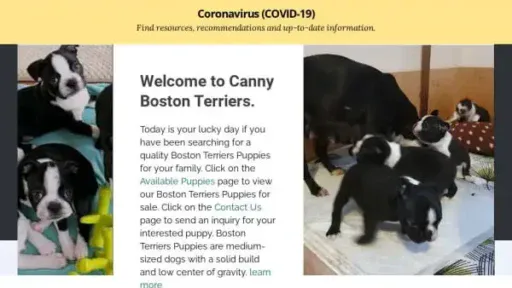 Screenshot of