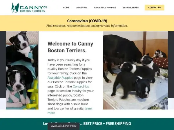 Screenshot of