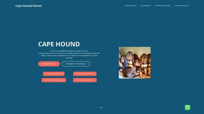 Screenshot of