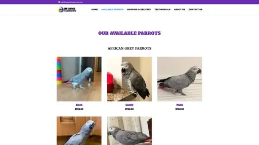 Screenshot of