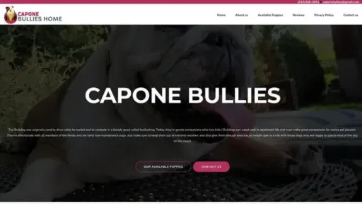 Screenshot of