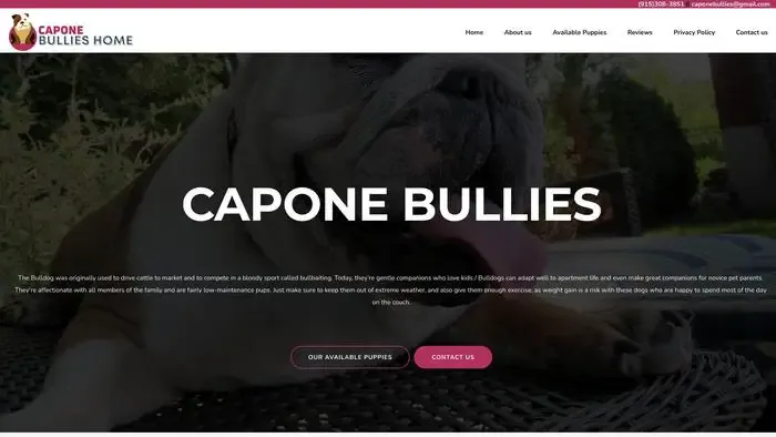 Screenshot of