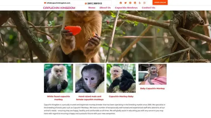 Screenshot of
