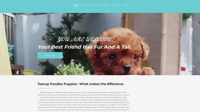 Screenshot of